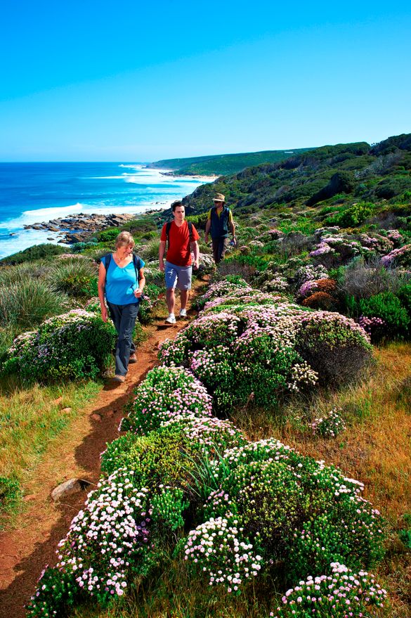 Group Hiking Cape to Cape track