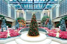 The DreamWorks Experience at Cotai Strip Resorts is busy doing all things Christmas. From décor and costumes, to fun activities,