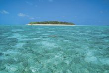 Heron Island Wharf