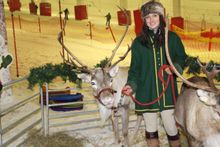 Reindeer at Snozone