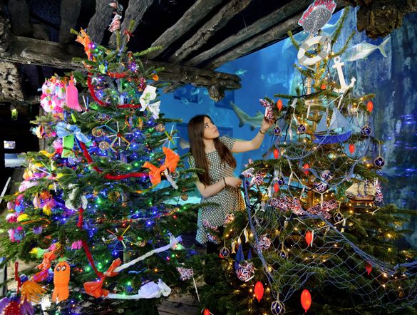 \'Fishmas\' Trees