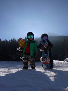 Mini Shred 2