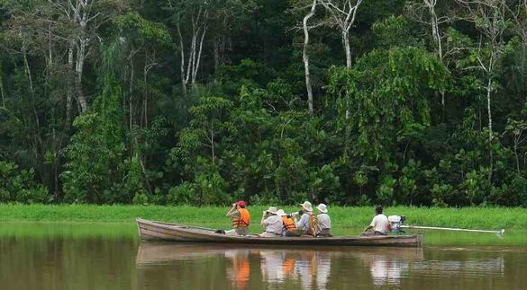 Calanoa Amazonas