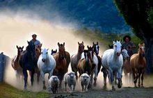 Estancia Nibepo Aike