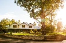 Spicers Vineyards Estate