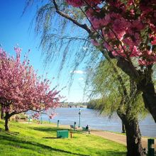 Cumberland RiverWalk/Donald Groves