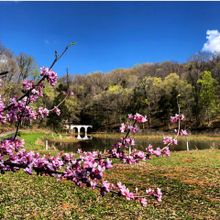 Dunbar Cave State Park/Shana Thornton
