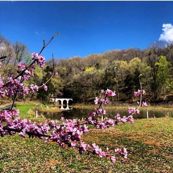 Dunbar Cave State Park/Shana Thornton