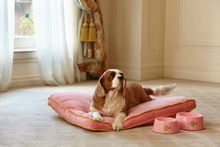 Langham Sydney Dog