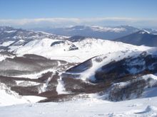 Ski Among The Beech Trees In Roccaraso