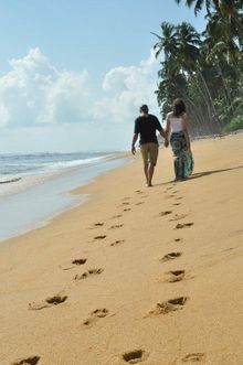 Reef, Sri Lanka 