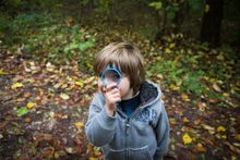 Magnifying Glass 