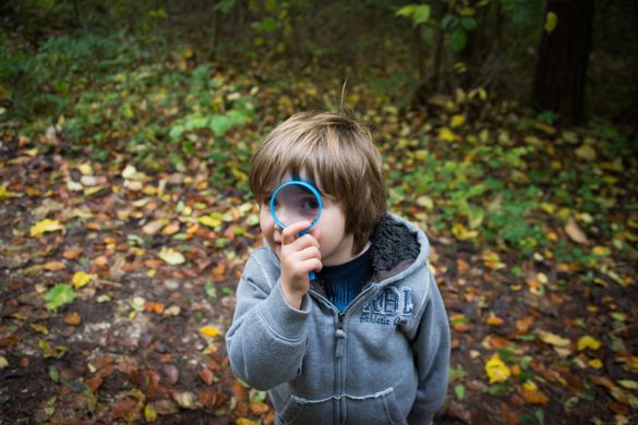 Magnifying Glass 