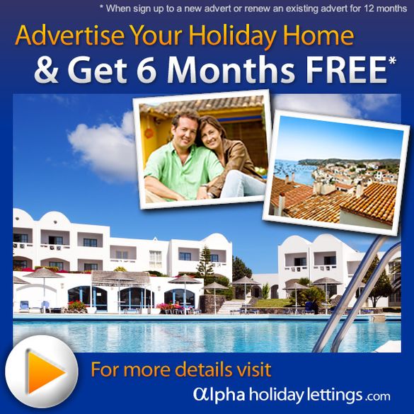 Free 6 Months Offer