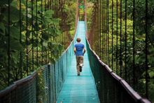 Cloud Forest, Costa Rica