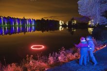 Winter Light Festival Electric Glen Brings Scottish Country Park To Life After Dark In February 2014