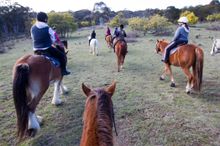 Enjoy a Twilight Horse Ride with Burnelee Excursions on Horseback Photo: Belinda Pratten