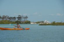 Whalesong Cruises Fraser Beach