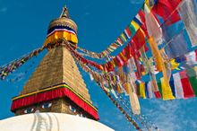 Nepal Bunting