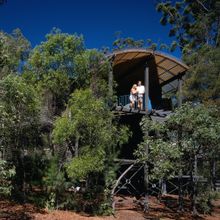 Self-contained villas surrounded by forest at Kingfisher Bay Resort on K'gari.