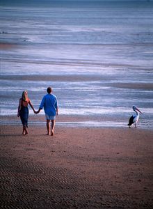 A pelican joins a couple on the beach at Kingfisher Bay Resort on K'gari.