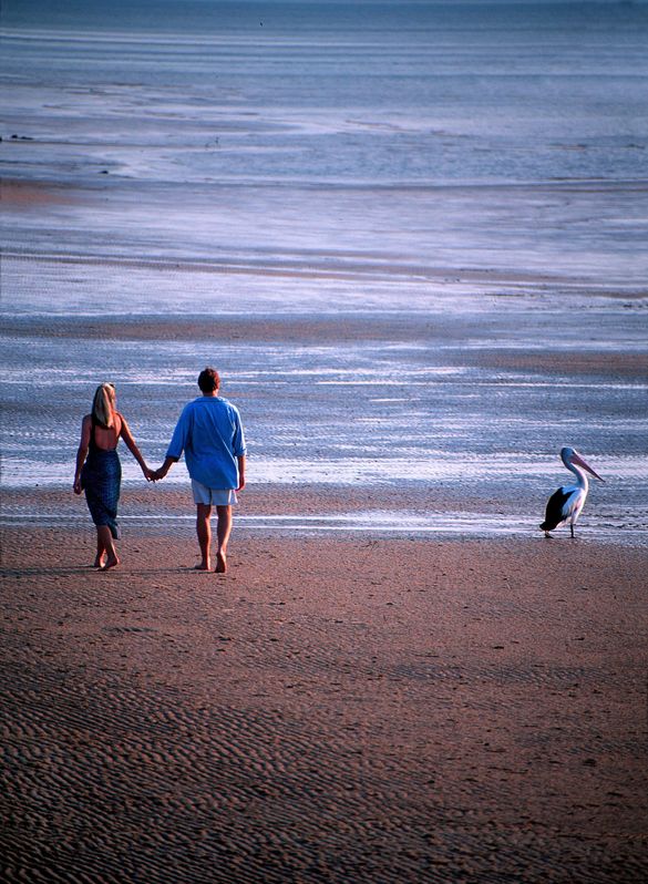 A pelican joins a couple on the beach at Kingfisher Bay Resort on K'gari.