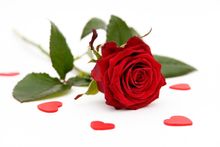 Romance