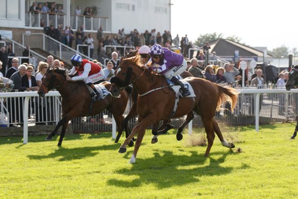 Racing At Royal Windsor
