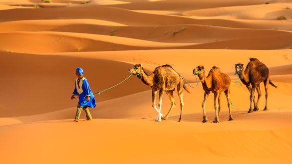Skyros In Morocco Desert