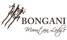 Bongani logo