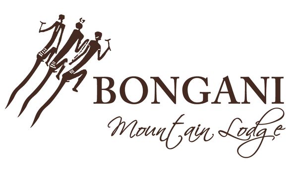 Bongani logo