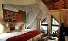 Bongani Mountain Lodge- Room