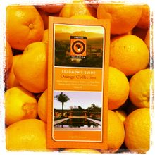 The Orange Collection