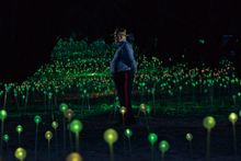 Field of Light Avenue of Honour installation, Bruce Munro, Albany, 2018. Photograph by Mark Pickthall, courtesy of FORM. (2)