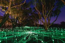 Field of Light Avenue of Honour installation, Bruce Munro, Albany, 2018. Photograph by Taryn Hays, courtesy of FORM.