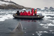 One Ocean Expeditions  