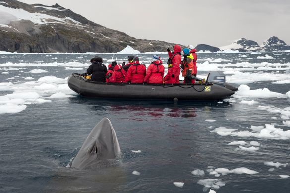 One Ocean Expeditions  