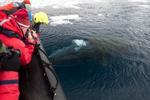 One Ocean Expeditions  