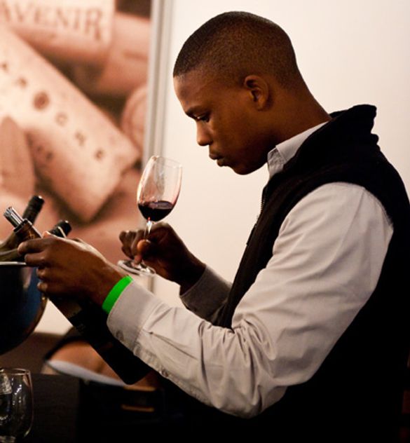 Stellenbosch Wine Route