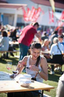 Stellenbosch Wine Route