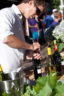 Stellenbosch Wine Route