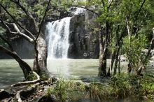 Cedar Creek Falls, Airlie Beach