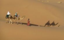 Camel trek in sahara-Mororocco