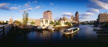 Boat Tours