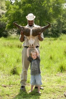 Fun On The Safari