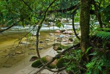 River trail at Hakuna Matata ecolodge, Ecuador
