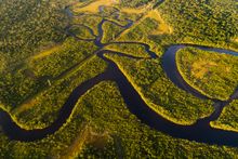 Brazilian Amazon from above