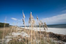 Hilton Head Island (beach)