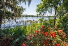 Magnolia Plantation (grounds)
