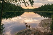 Nuuksio national park in Espoo, near Helsinki